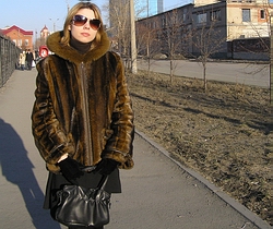 ЛИСИЧКА на фоне одной из новых высоток (одна из улиц Челябинска, 1.04.2007)